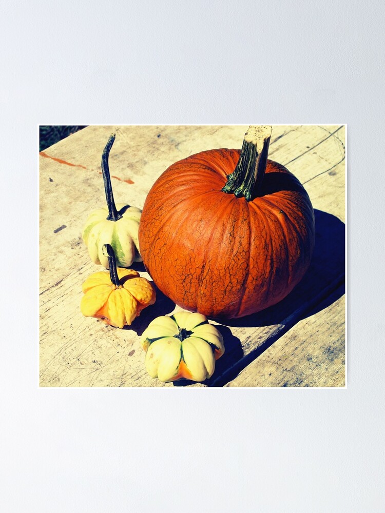 Thumbnail 2 of 3, Poster, Gift for Food Blogger - Pumpkin and Squash Art - Kitchen and Dining Decor designed and sold by OneDayArt.