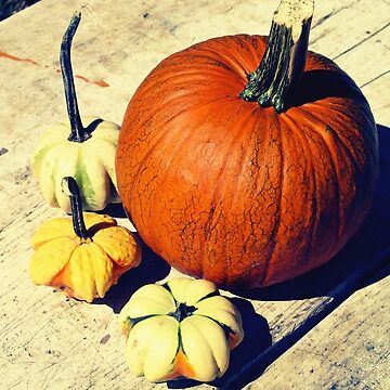 Artwork thumbnail, Gift for Food Blogger - Pumpkin and Squash Art - Kitchen and Dining Decor by OneDayArt