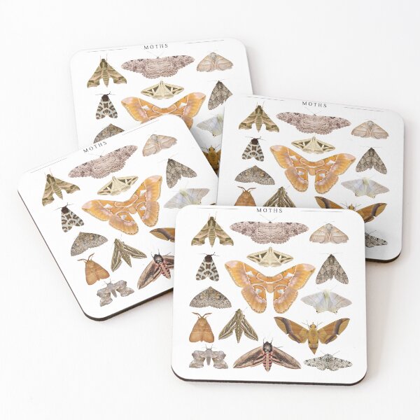 Item preview, types of moths designed and sold by Rob-Son.