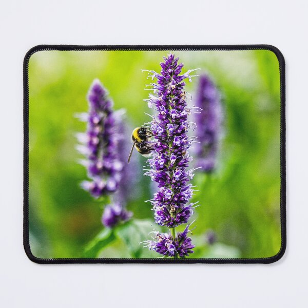 Item preview, lavender designed and sold by Digikalle.