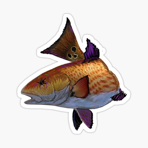 Catch of the Day Sticker