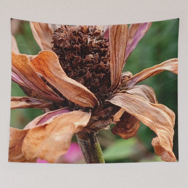 Item preview, Weathered Beauty designed and sold by Geoff Treagus.