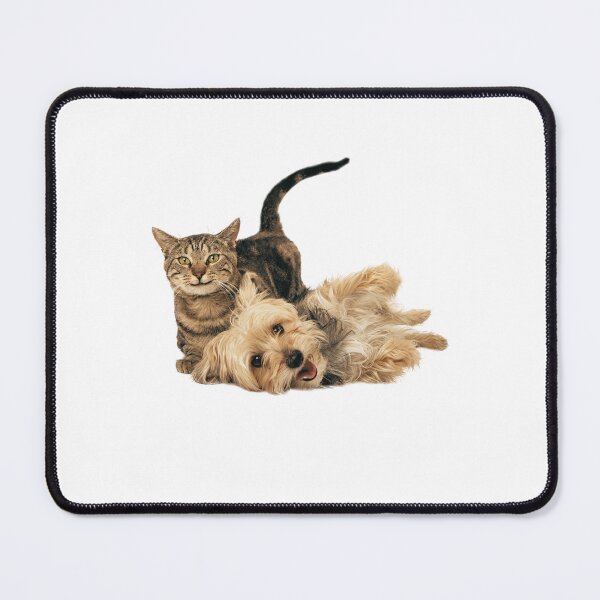 Item preview, We Are Best Friend Forever designed and sold by branaghbel.