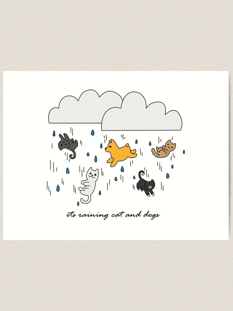 Raining Cats and Dogs 未開封BOX Wentworth, Raining Cats and Dogs, 305 pcs (wooden) : r