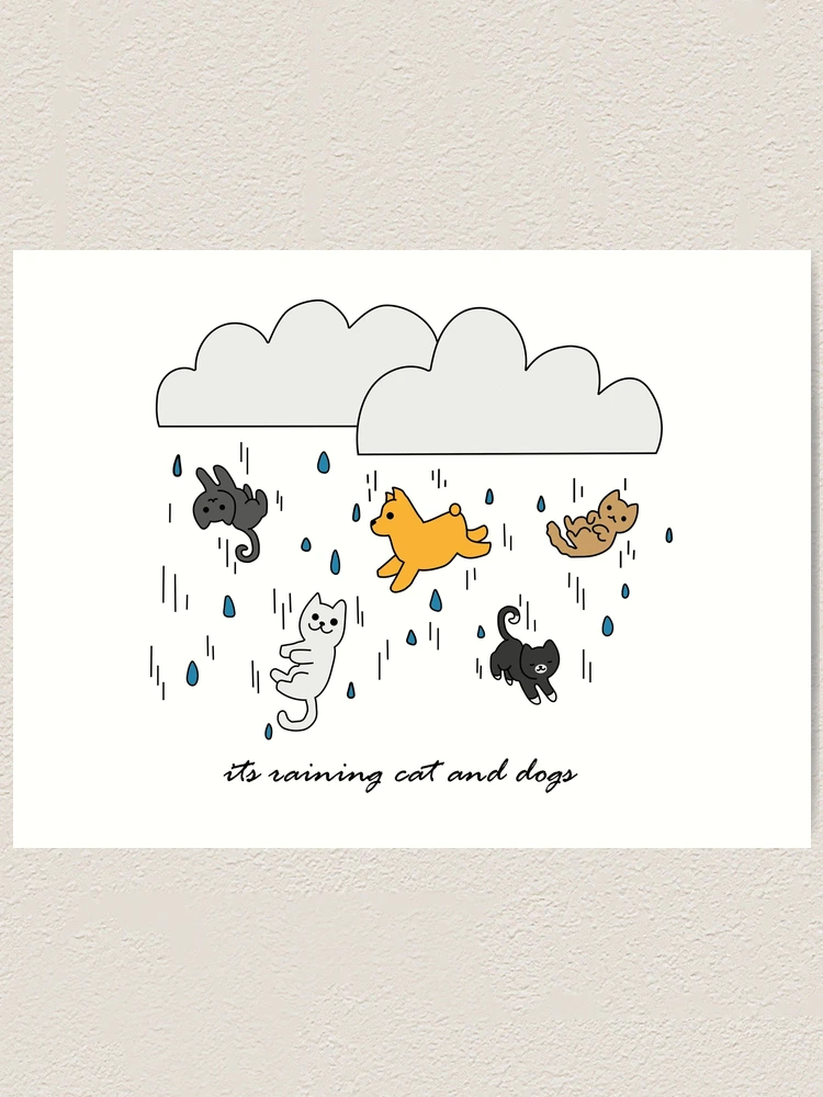 Raining Cats and Dogs 未開封BOX Raining Cats and Dogs SVG, Raining Cats and Dogs DXF
