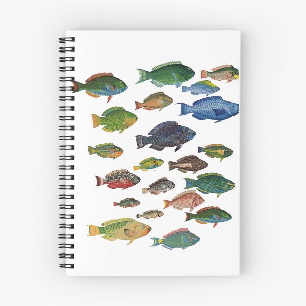 Item preview, Class in Session designed and sold by NINUNO.