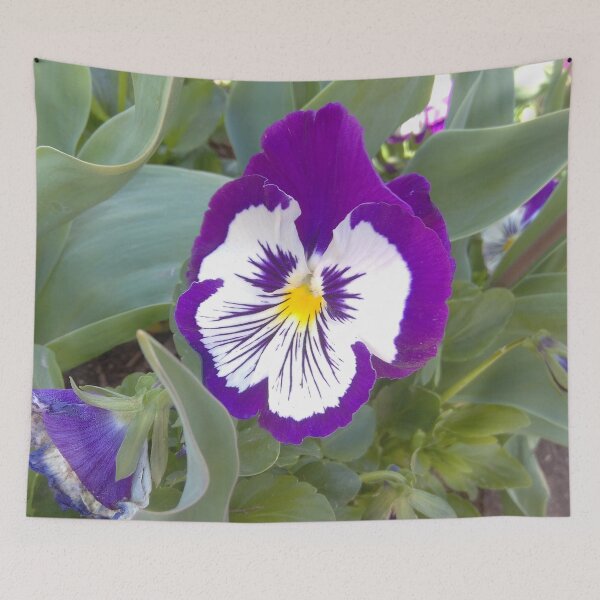 Item preview, Purple and White Pansy designed and sold by jeremydwilliams.