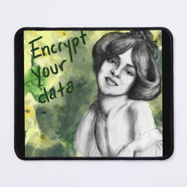 Item preview, For the Ladies, Gays and Theys Series: Encrypt Your Data designed and sold by NettlesandPaint.