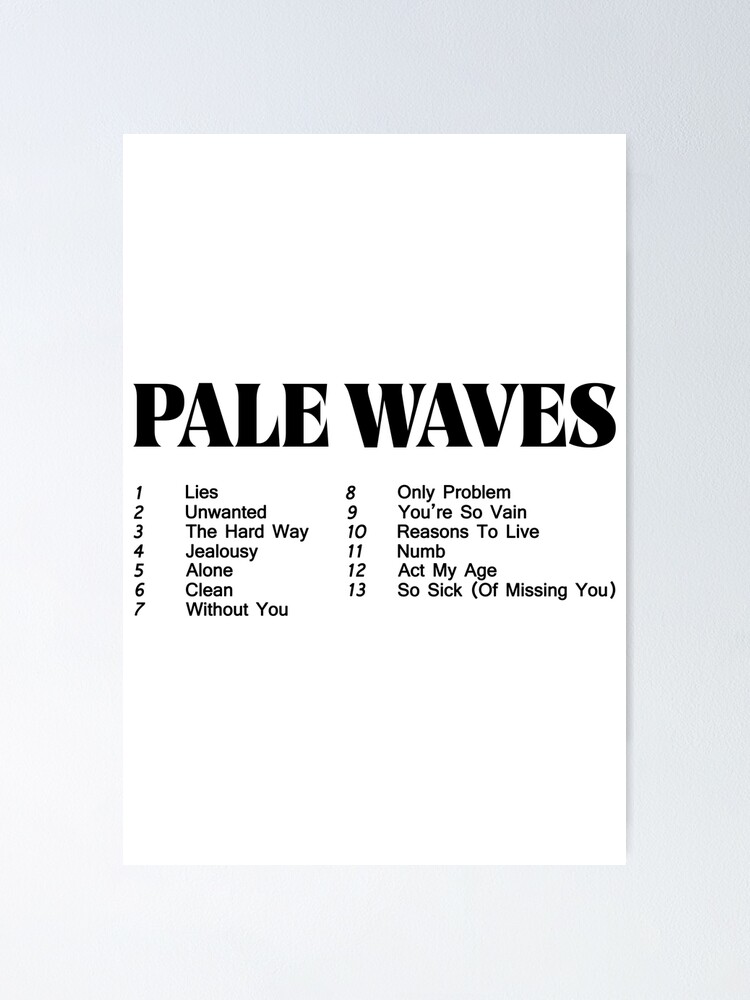 pale waves merch