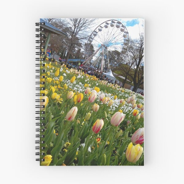 Item preview, Tulipanes y Big Wheel, Canberra designed and sold by jeremydwilliams.