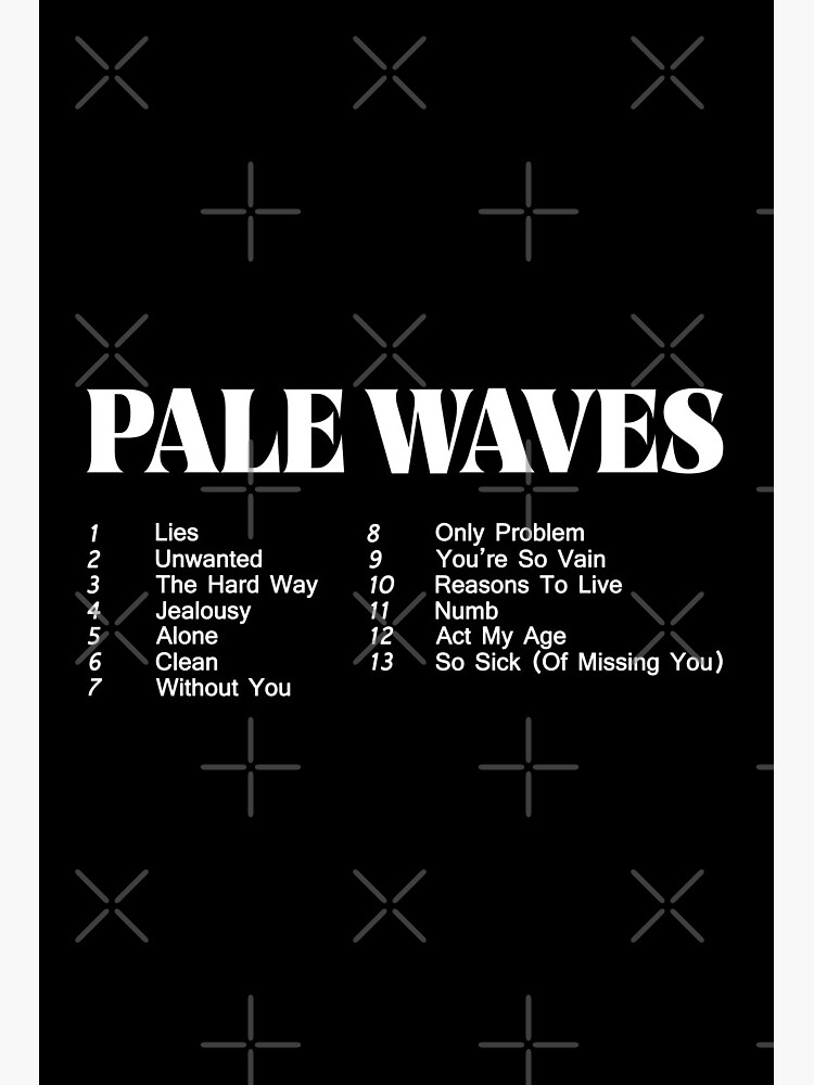 pale waves merch