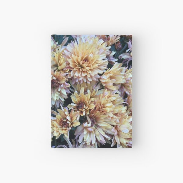 Gift for Gardener - Mumsified - Light Yellow and Pink Mums Hardcover Journal