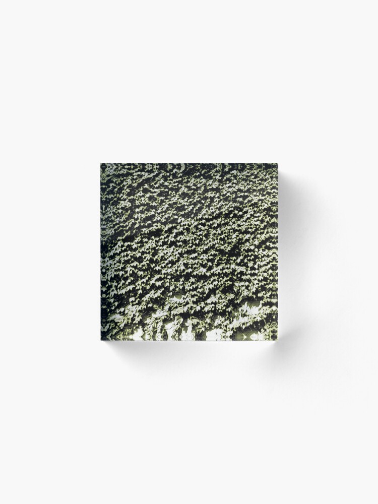 Alternate view of Painted Ivy - Dark Green Art Photo Acrylic Block