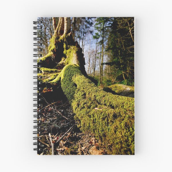 Item preview, Tree root with moss.. designed and sold by Billlee.