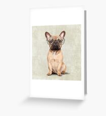 Mr Bulldog Greeting Card