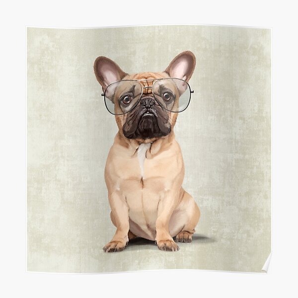 Mr Bulldog Poster