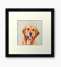 Mr Golden Retriever Framed Print