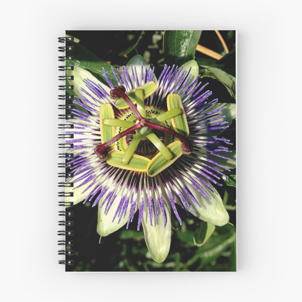 Item preview, Passion Flower designed and sold by Billlee.
