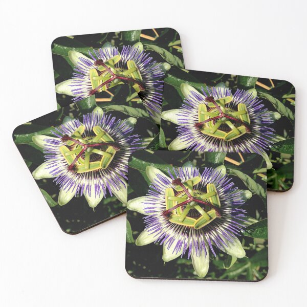 Item preview, Passion Flower designed and sold by Billlee.