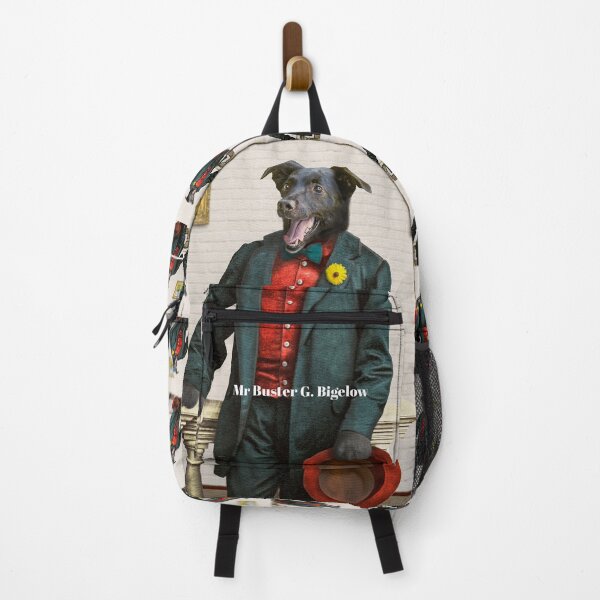 Item preview, Mr Buster G. Bigelowe designed and sold by PETER GROSS.