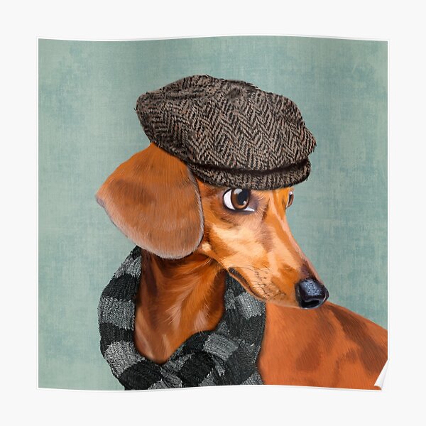 Eleganter Herr Dackel Poster
