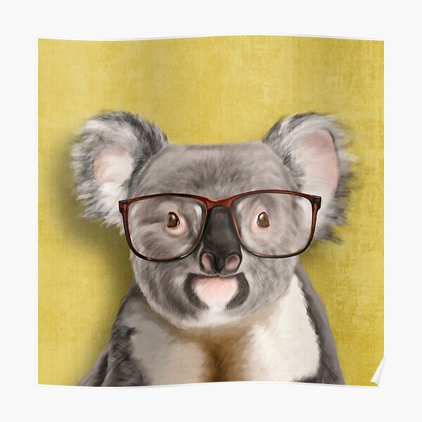 Mr Koala Poster