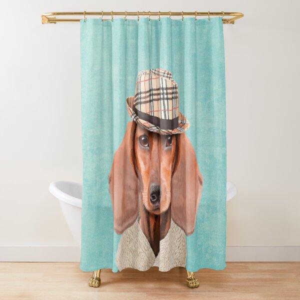 Mr Dachshund Shower Curtain