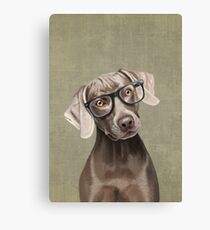 Mr Weimaraner Canvas Print