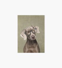 Mr Weimaraner Art Board