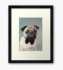 Mr Pug Framed Print