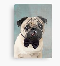 Mr Pug Metal Print