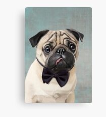 Herr Pug Leinwanddruck