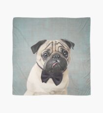 Mr Pug Scarf