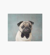 Mr Pug Art Board