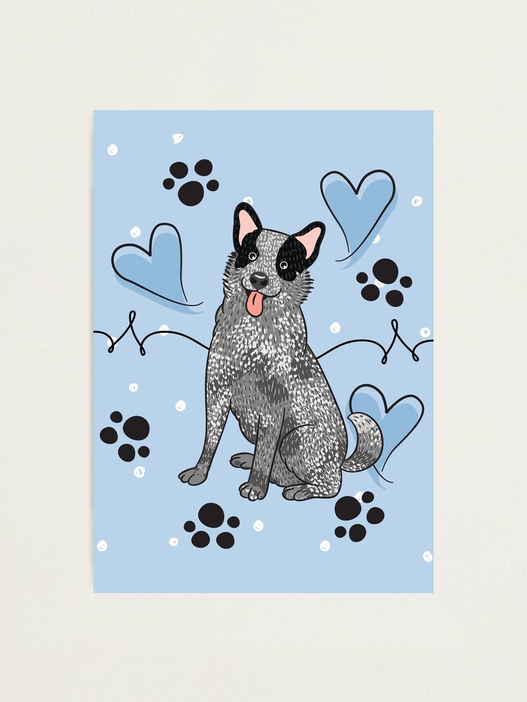 LOVE Blue Heeler Australian Cattle Dog Photographic Print - Main Image