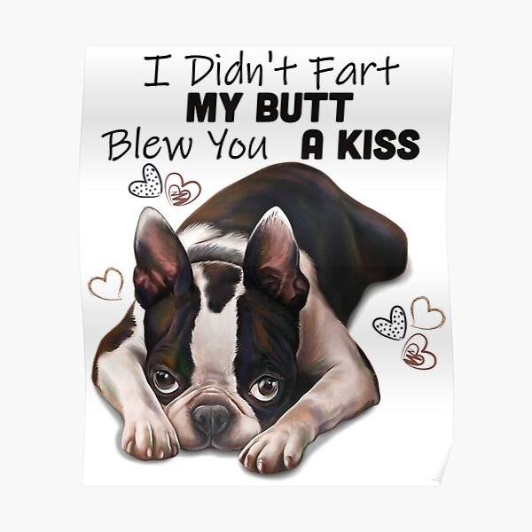 Boston Terrier Fart Meme | atelier-yuwa.ciao.jp