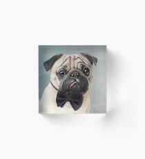 Mr Pug Acrylic Block