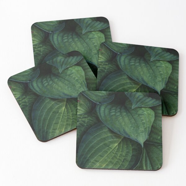 Item preview, Costa Hosta designed and sold by Yampimon.