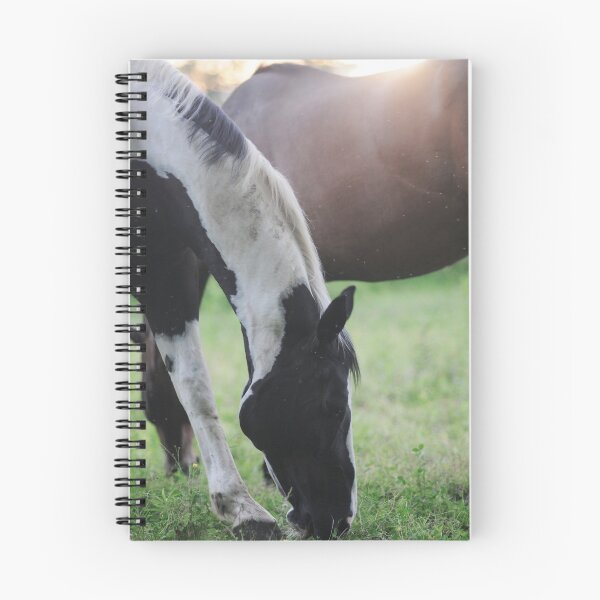 Item preview, Horses at sunset designed and sold by chelseavictoria.