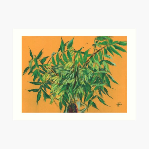 Ash-Tree, Summer Foliage, Floral Pastel Green Yellow Art Print