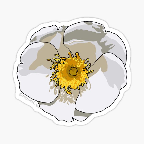 Item preview, Cherokee Rose flower designed and sold by Esteward.
