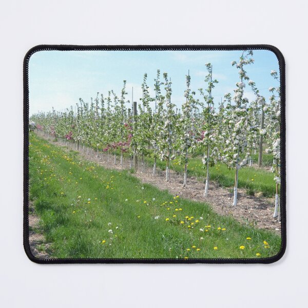 Item preview, Blossoming Orchard designed and sold by TeresaYoung9.