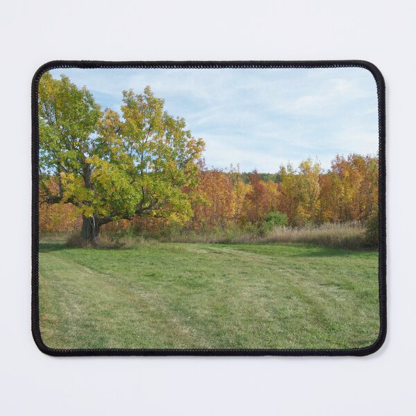 Item preview, John A. Hutter Memorial Park designed and sold by TeresaYoung9.