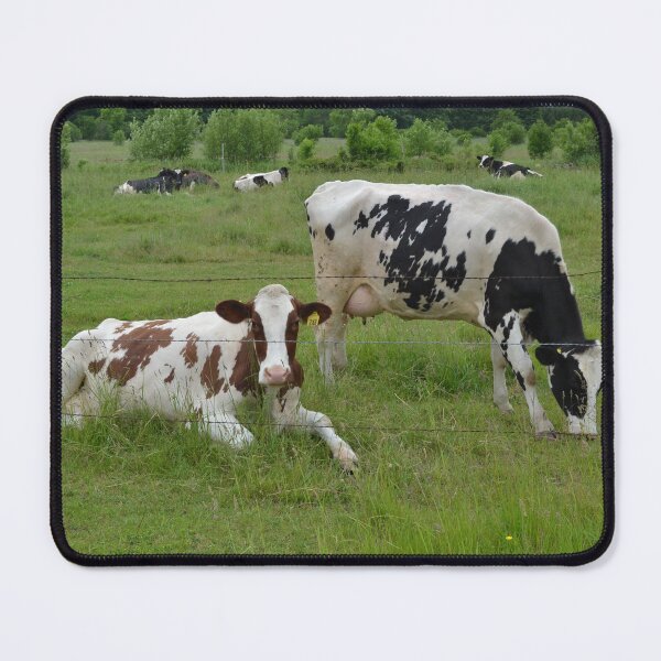 Item preview, Wisconsin Life designed and sold by TeresaYoung9.