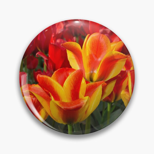 Item preview, Red yellow Tulips  designed and sold by hawkie.