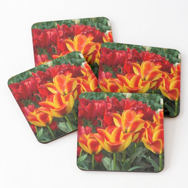 Item preview, Red yellow Tulips  designed and sold by hawkie.