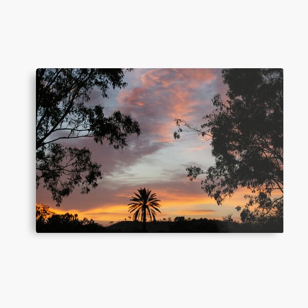 Sunrise Delight II Metal Print