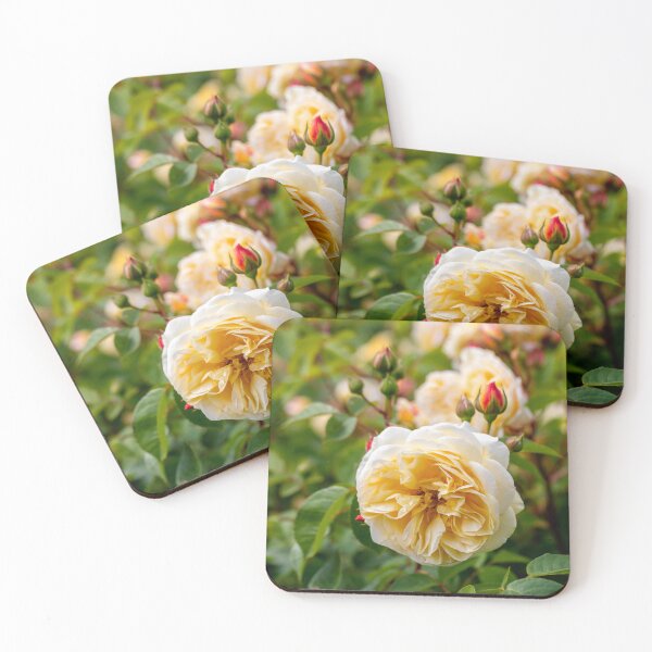 Item preview, Summer Roses designed and sold by Tanya C  Smith.