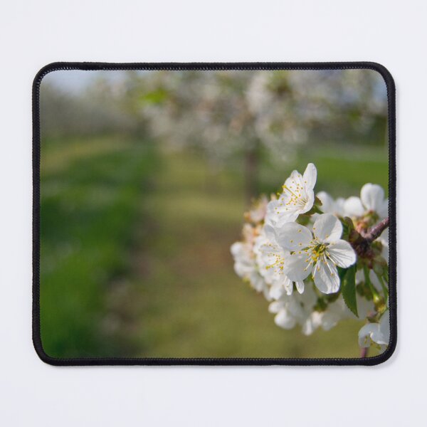 Item preview, Blooming Cherry Orchard designed and sold by TeresaYoung9.