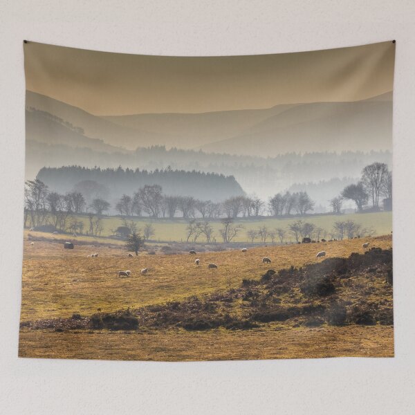 Aperçu de l'œuvre Brecon Beacons National Park créée et vendue par heidipics.